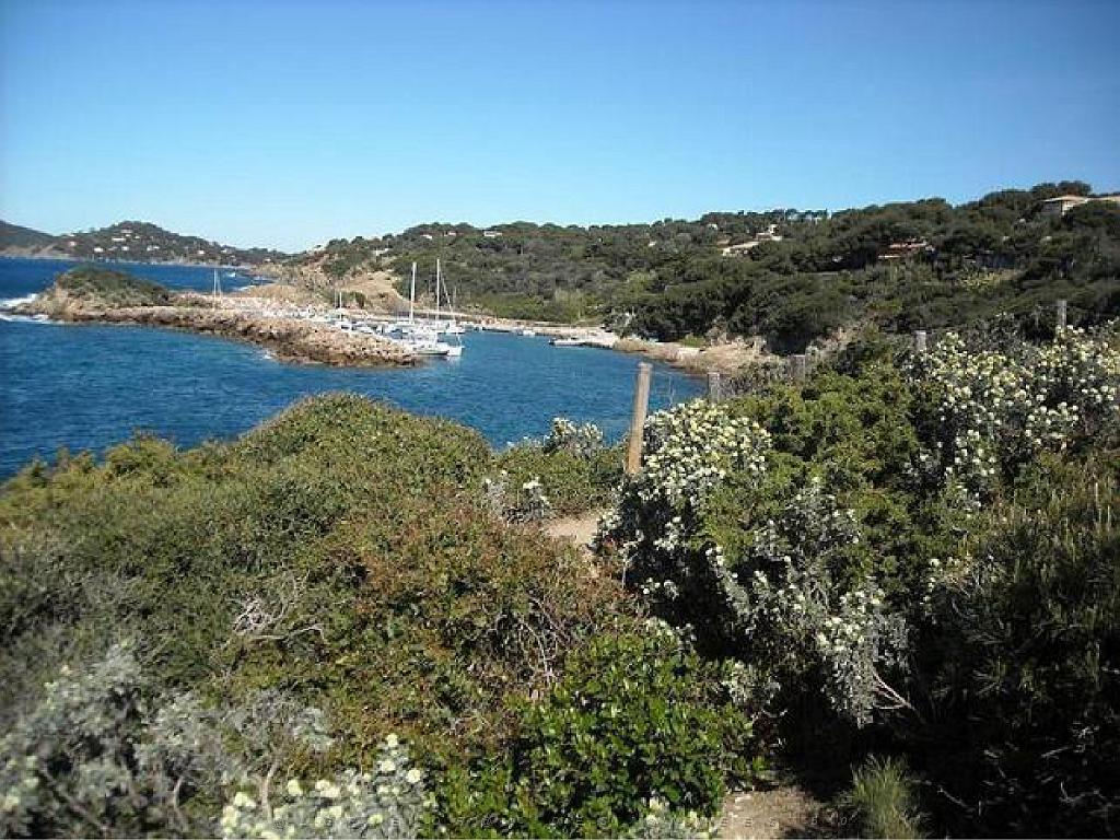 183 D20 PRESQU ILE DE GIENS 3_000036.jpg